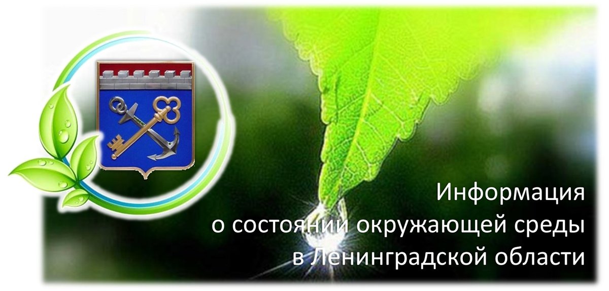 Информация о состоянии окружающей среды. Охрана окружающей среды. Ленинградская область защита окружающей среды. Охрана окружающей среды Ленинградской области кратко. Информация о состоянии окружающей среды. Охрана окружающей среды. Ленинградская область защита окружающей среды. Охрана окружающей среды Ленинградской области кратко.