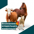 ВНИМАНИЕ! ОСОБО ОПАСНЫЕ БОЛЕЗНИ ЖИВОТНЫХ!