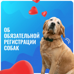 Важная информация от Управления ветеринарии Ленинградской области